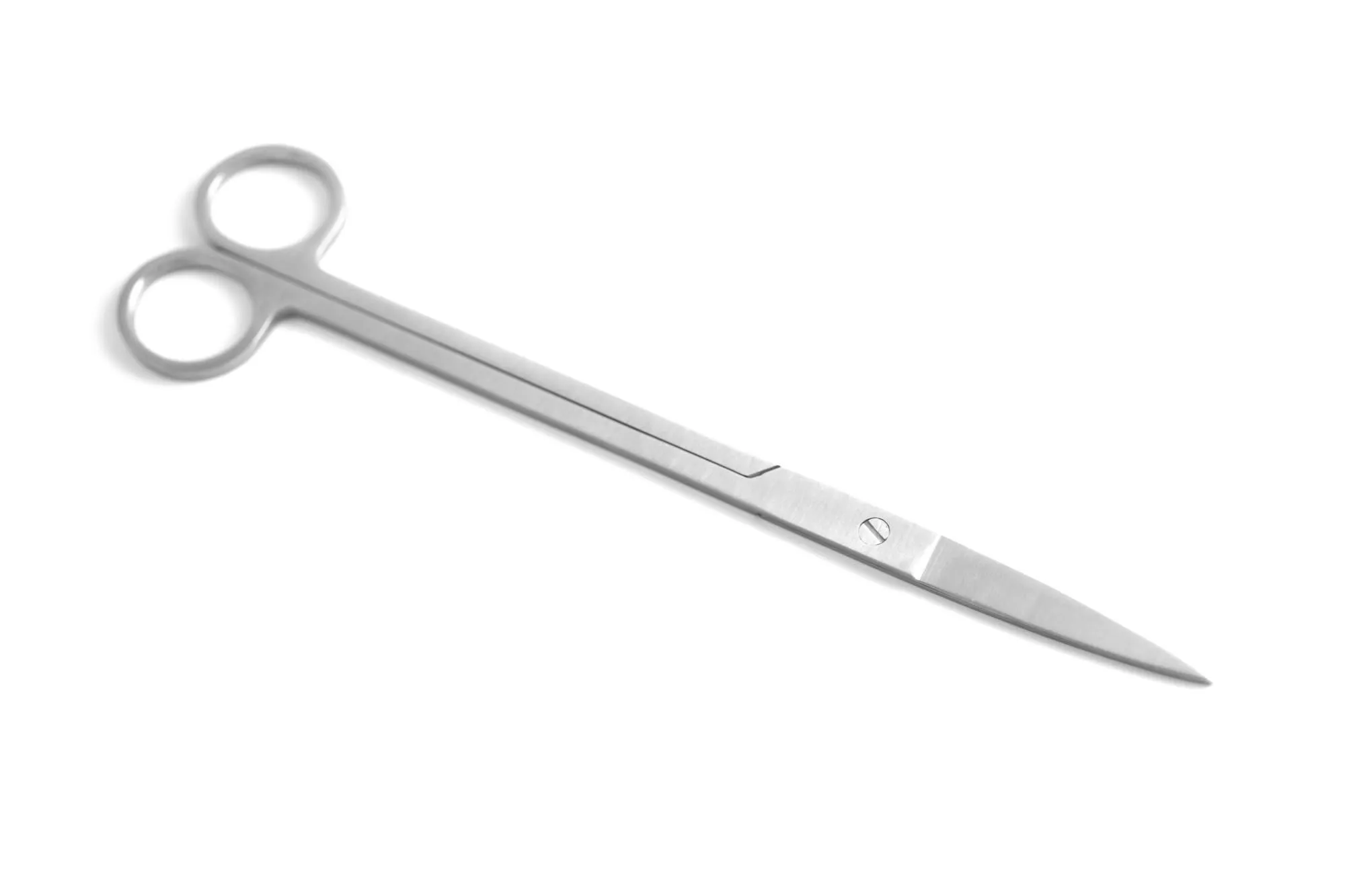 Kit professionale aquascaping in acciaio inox 5 pezzi da 25 a 32 cm