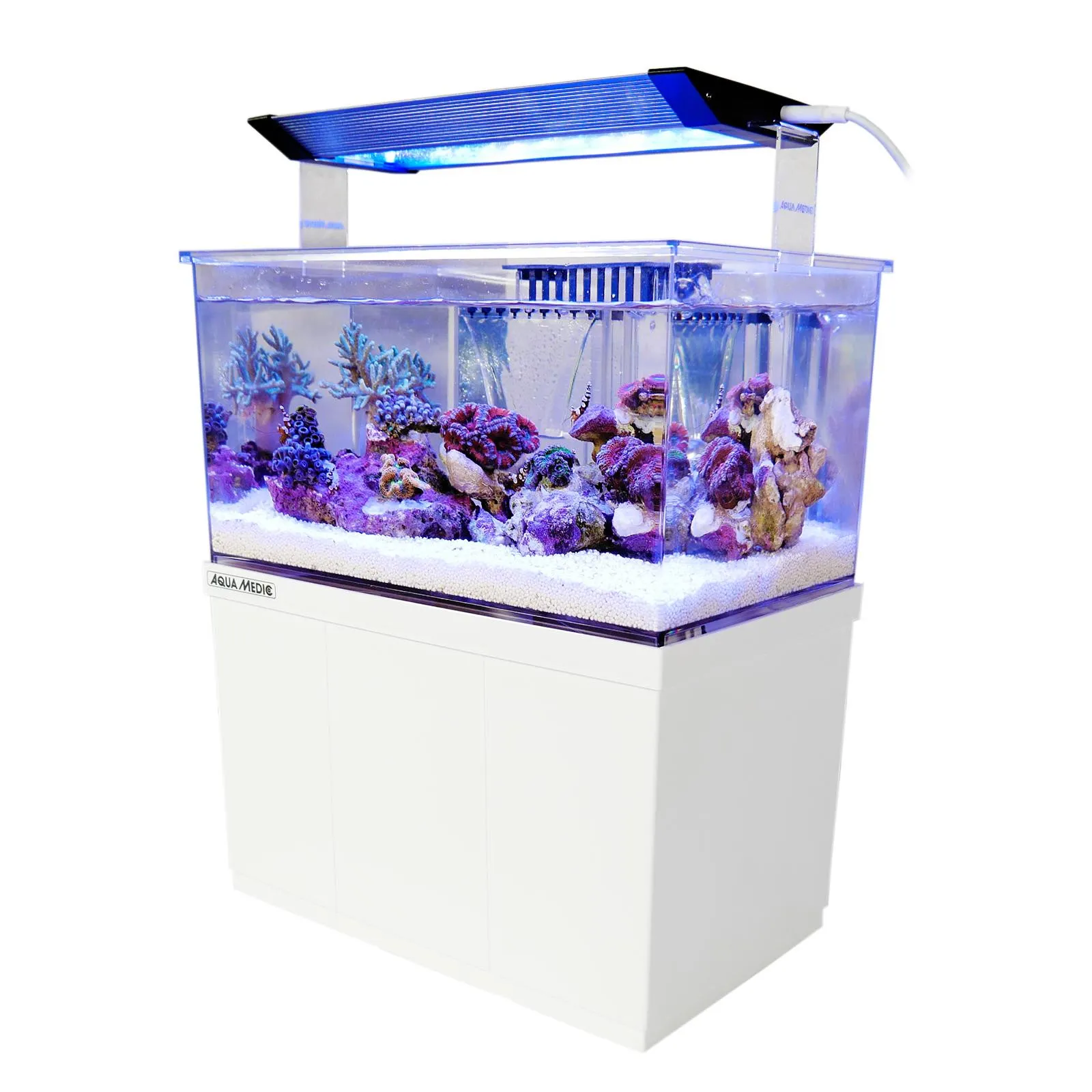 Aqua Medic Micro Armatus XS - 8 lt - acquario marino Pico-Reef o dolce completo di luce - Novità 2023